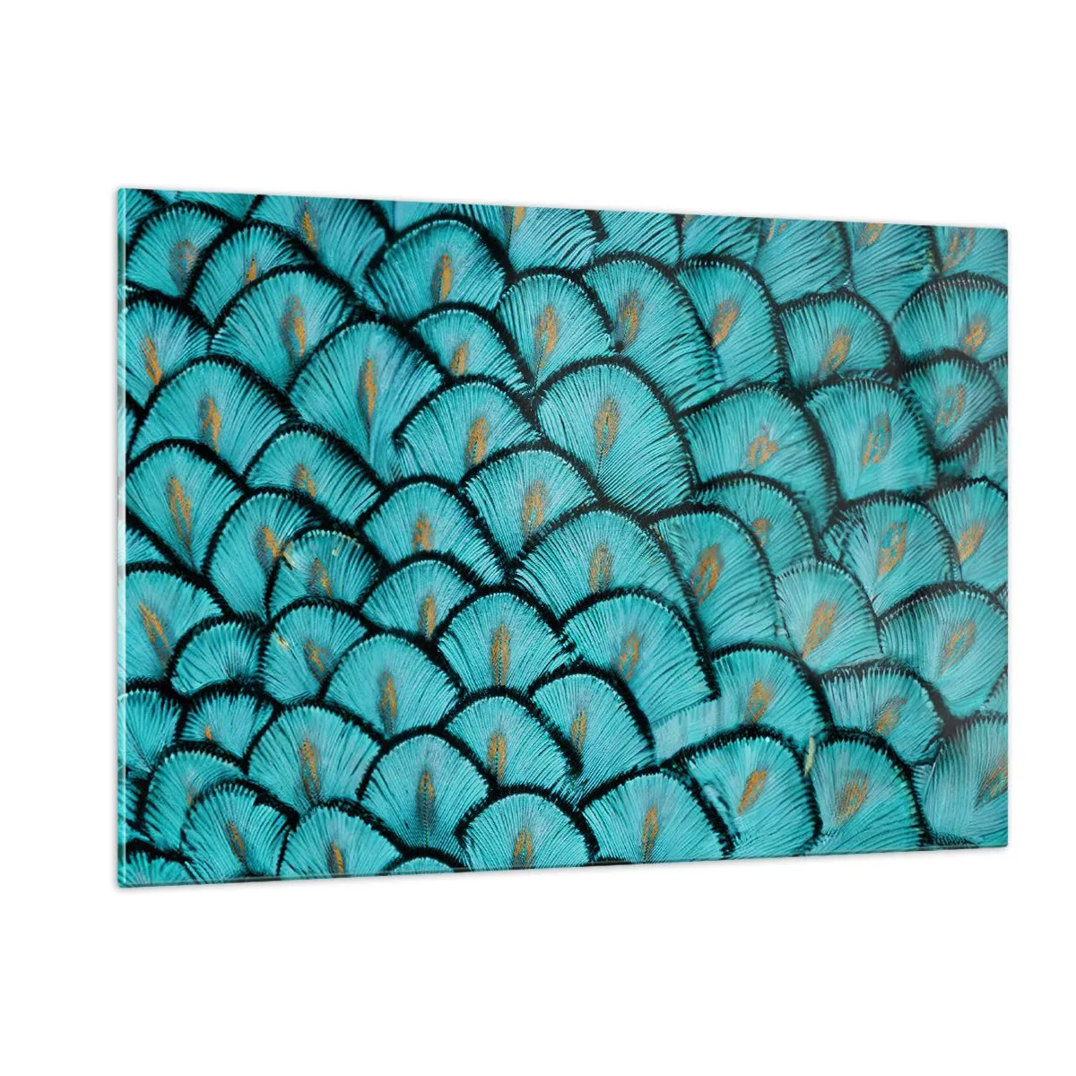 Obraz na szkle - Zbliżenie na turkusowe pawie pióra tworzące dekoracyjny wzór - 120x80cm - Wielka gala piór - Nowoczesna dekoracja ścienna do salonu, kuchni i sypialni ARTTOR