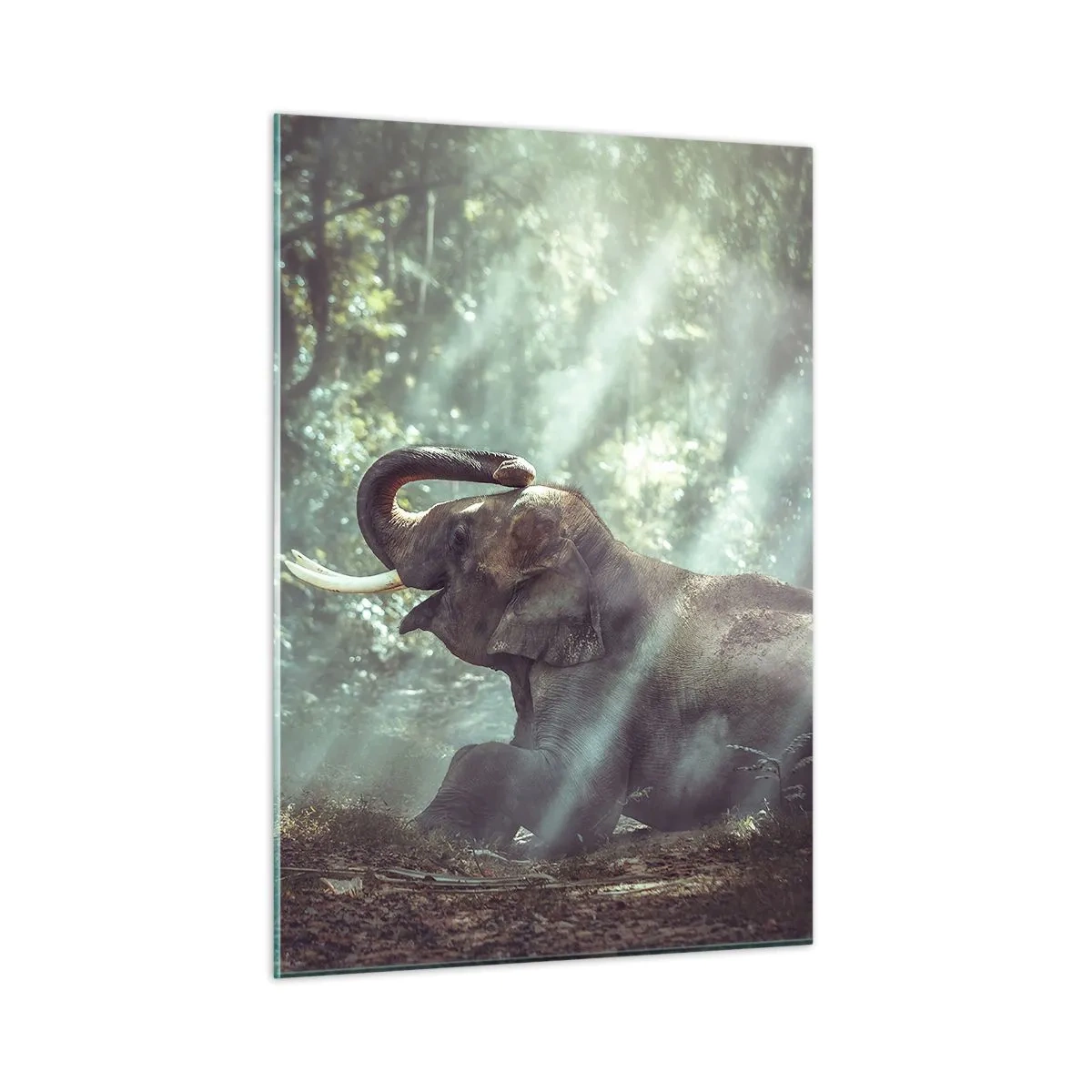 Obraz na szkle - Chłopiec z książką i słoń w leśnym otoczeniu - 50x70cm - A posłuchaj tego… - Nowoczesna dekoracja ścienna do salonu, kuchni i sypialni ARTTOR