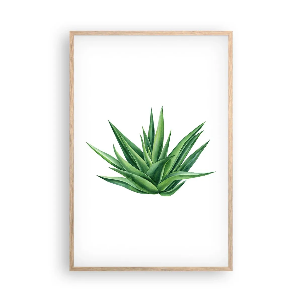 Plakat w ramie jasny dąb - Zieleń – siła – życie - 61x91 cm