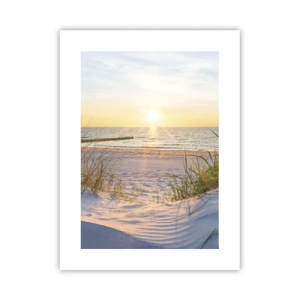 Plakat - Morza szum, ptaków śpiew, dzika plaża pośród traw… - 30x40 cm