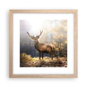 Plakat w ramie jasny dąb - W pełnym majestacie - 30x30 cm