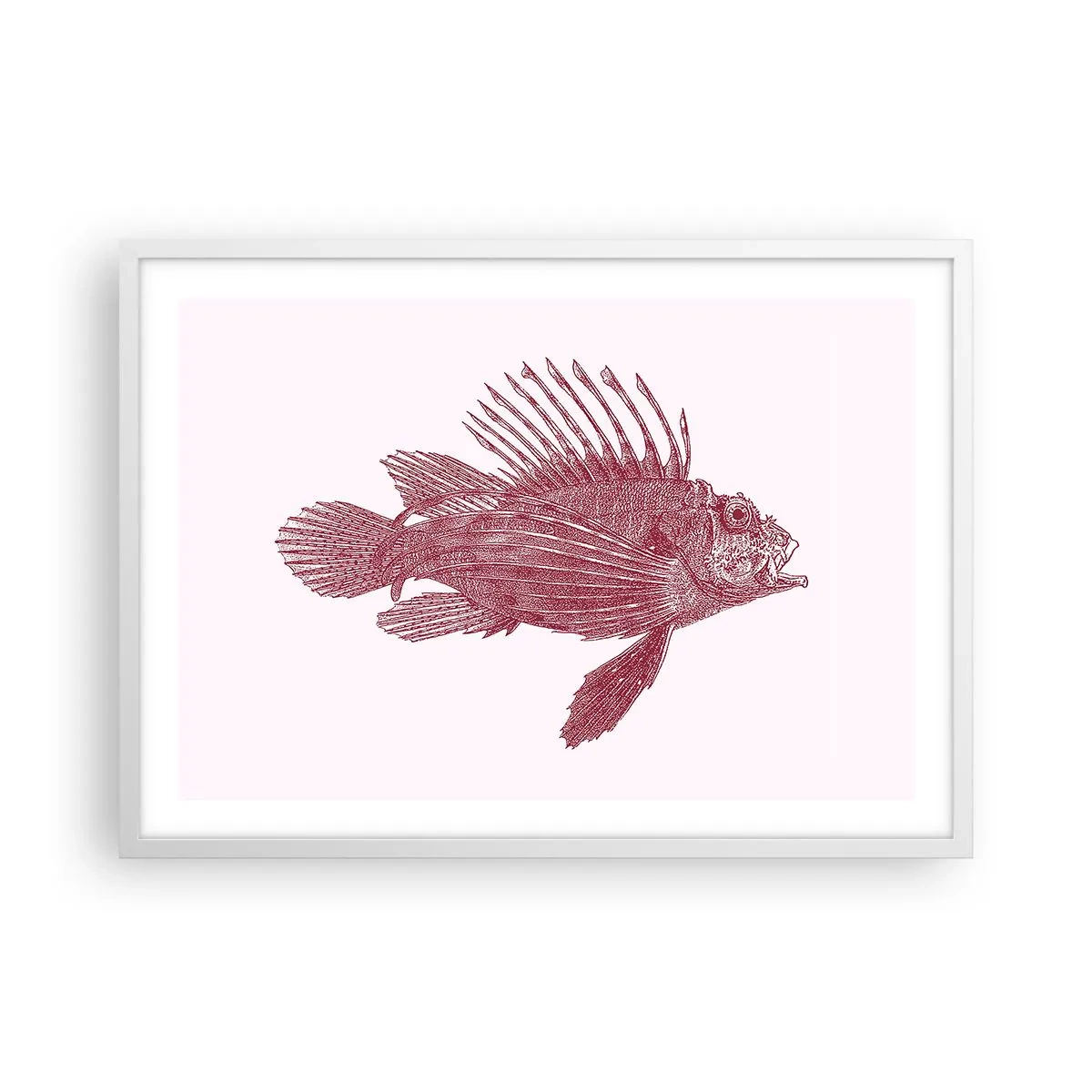 Plakat w białej ramie - Mieszkanka egzotycznych wód - 70x50 cm