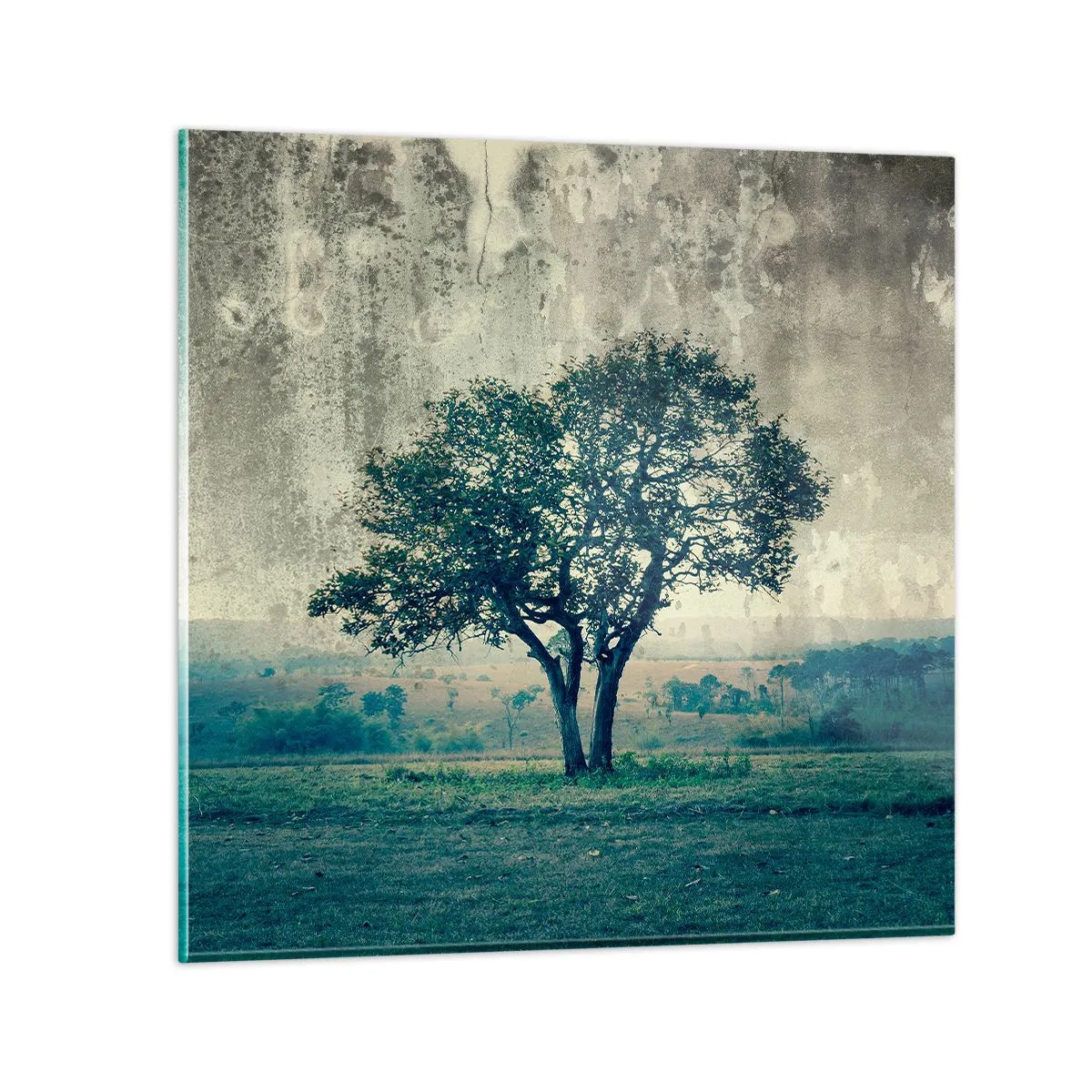 Obraz na szkle - Jabłoń na błękitnym błoniu? - 30x30 cm