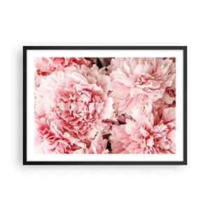 Plakat w czarnej ramie - Subtelne różowe piwonie w delikatnym ujęciu - 70x50cm - Różowe marzenie - Nowoczesna dekoracja ścienna do salonu i sypialni ARTTOR