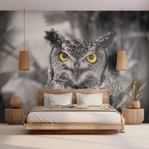 Fototapeta Premium Sand - Czarno-biała sowa z intensywnie żółtymi oczami - 100x70cm - Nic się nie ukryje - Nowoczesna dekoracja ścienna do salonu, kuchni i sypialni ARTTOR