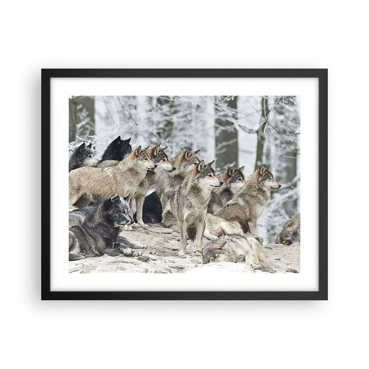 Plakat w czarnej ramie - Rodzina i przyjaciele - 50x40 cm