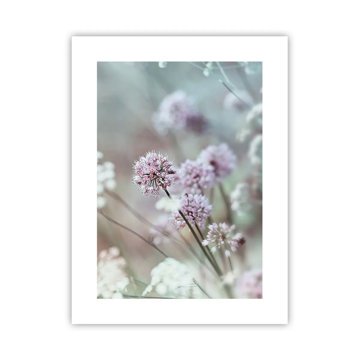 Plakat - Słodkie filigrany ziół - 30x40 cm