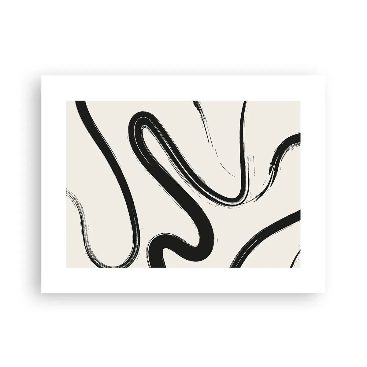 Plakat - Czarno-biała fanaberia - 40x30 cm