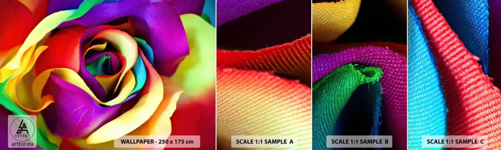 Fototapeta Próbka Standard Eco - To niemożliwe - Abstrakcja, Kwiat, Kolorowa Róża - 100x30 cm