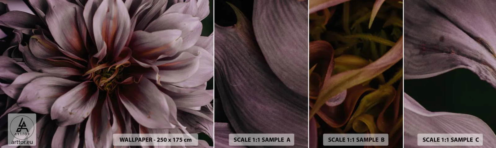 Fototapeta Próbka Samoprzylepna Deluxe Sticker - Kwietne serce - Bukiet Kwiatów, Dalia, Kwiat - 100x30 cm