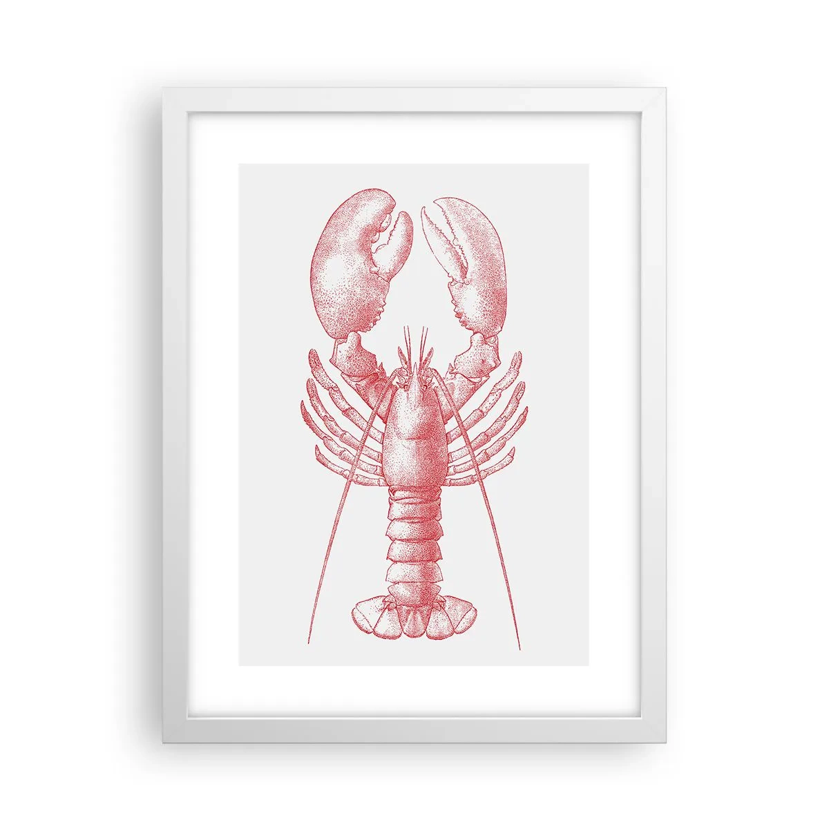 Plakat w białej ramie - Homar godny Homera - 30x40 cm