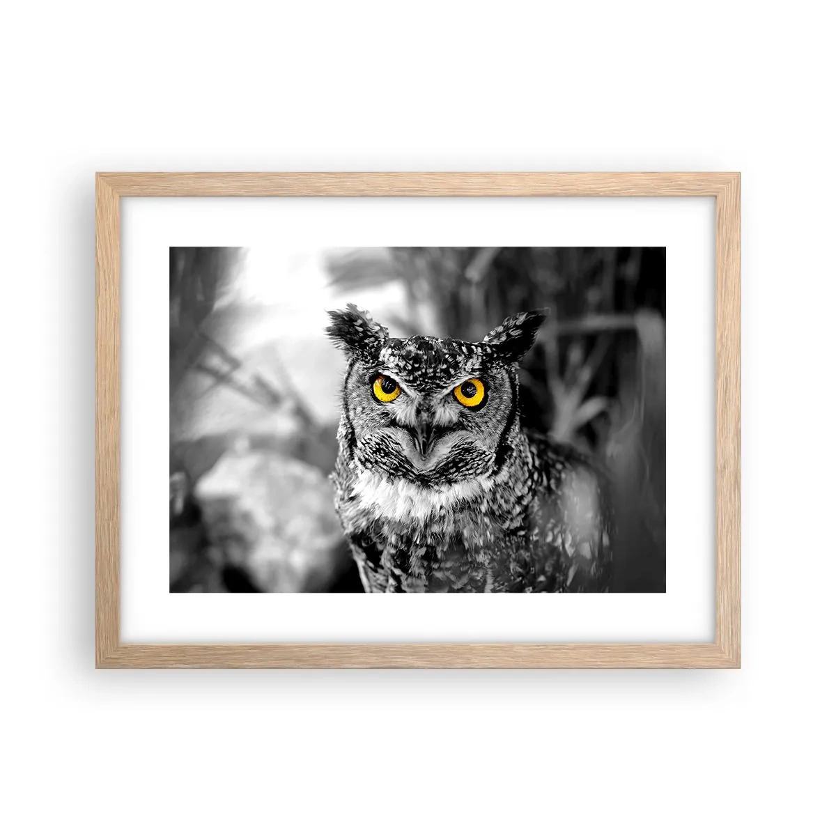 Plakat w ramie jasny dąb - Nic się nie ukryje - 40x30 cm