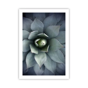 Plakat - Zbliżenie na symetryczne liście sukulenta w odcieniach zieleni - 50x70cm - Wabi i przestrzega - Nowoczesna dekoracja ścienna do salonu, kuchni i sypialni ARTTOR