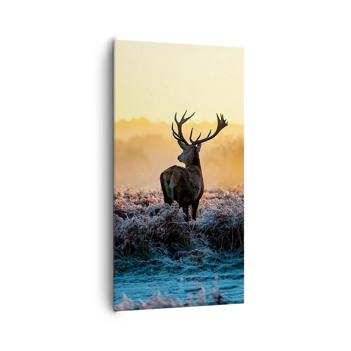 Obraz na płótnie - Koronowany na swoich włościach - 65x120 cm