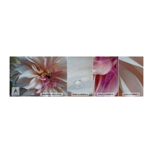 Fototapeta Próbka Premium Canvas - Kwitnąca świeżość - Kwiat, Dalia, Roślina - 100x30 cm