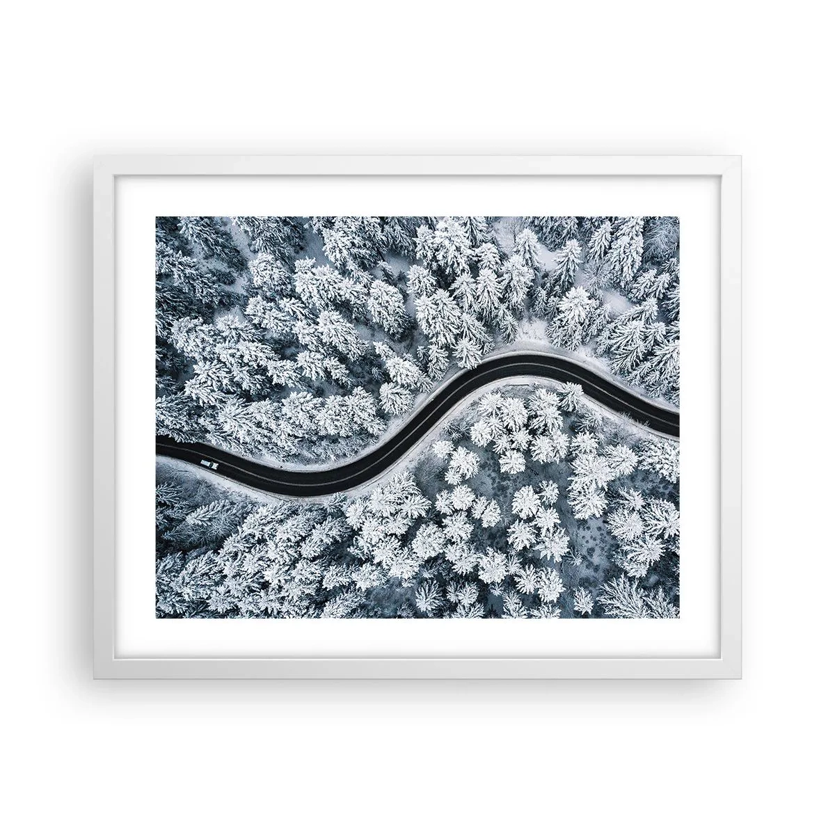 Plakat w białej ramie - Przez zimowy las - 50x40 cm