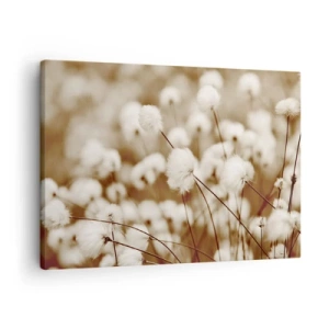 Obraz na płótnie - Pole delikatnych roślin w odcieniach sepia - 70x50cm - Puszysty łan - Nowoczesna dekoracja ścienna do salonu i sypialni ARTTOR