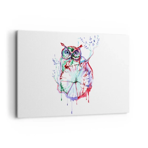 Obraz na płótnie - Kolorowa akwarela sowy w artystycznym stylu - 120x80cm - Mądra z natury - Nowoczesna dekoracja ścienna do salonu, kuchni i sypialni ARTTOR