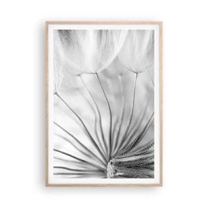 Plakat w ramie jasny dąb - Dmuchawce, latawce - 70x100 cm