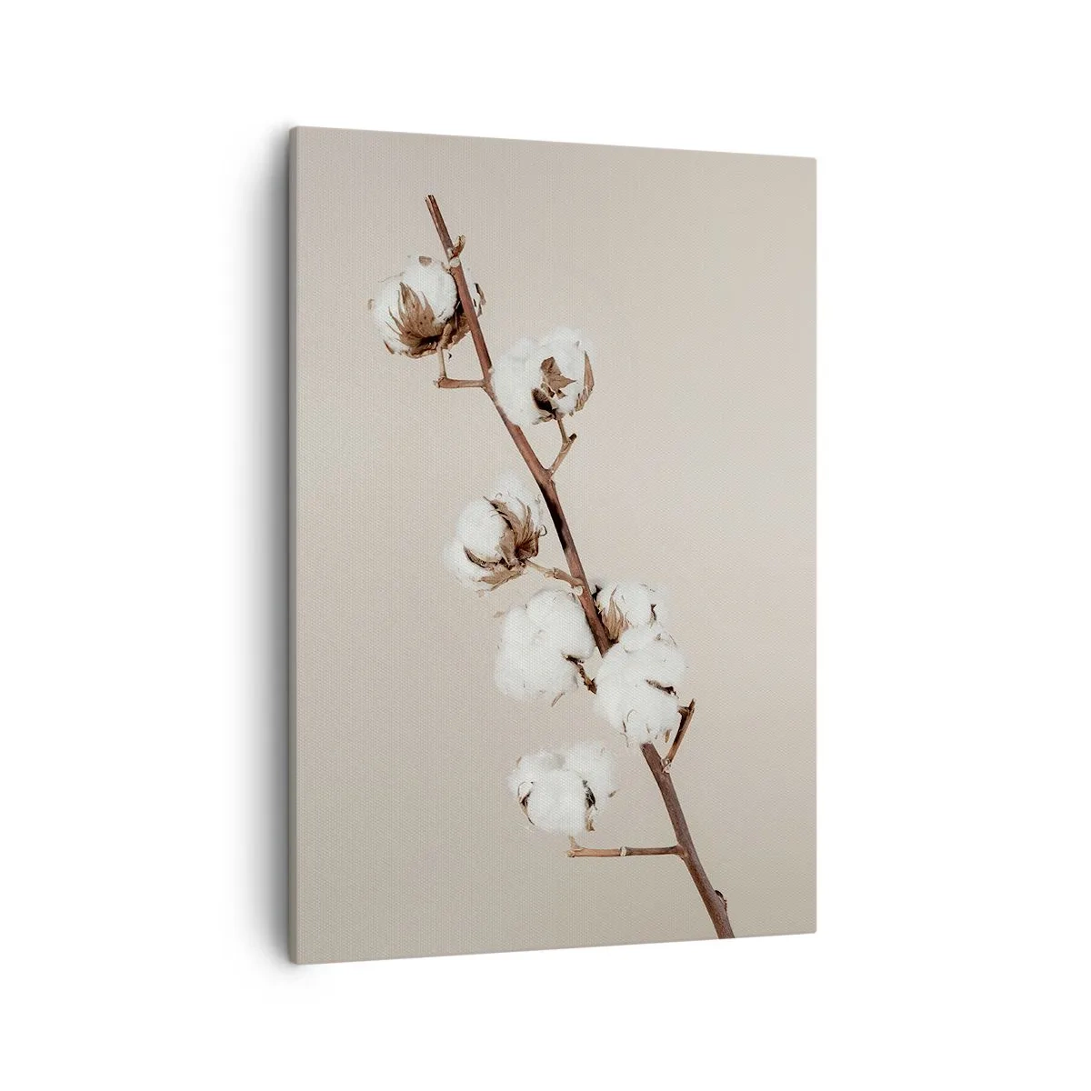 Obraz na płótnie - Gałązka bawełny na beżowym tle - 50x70cm - U źródła miękkości - Nowoczesna dekoracja ścienna do salonu, kuchni i sypialni ARTTOR