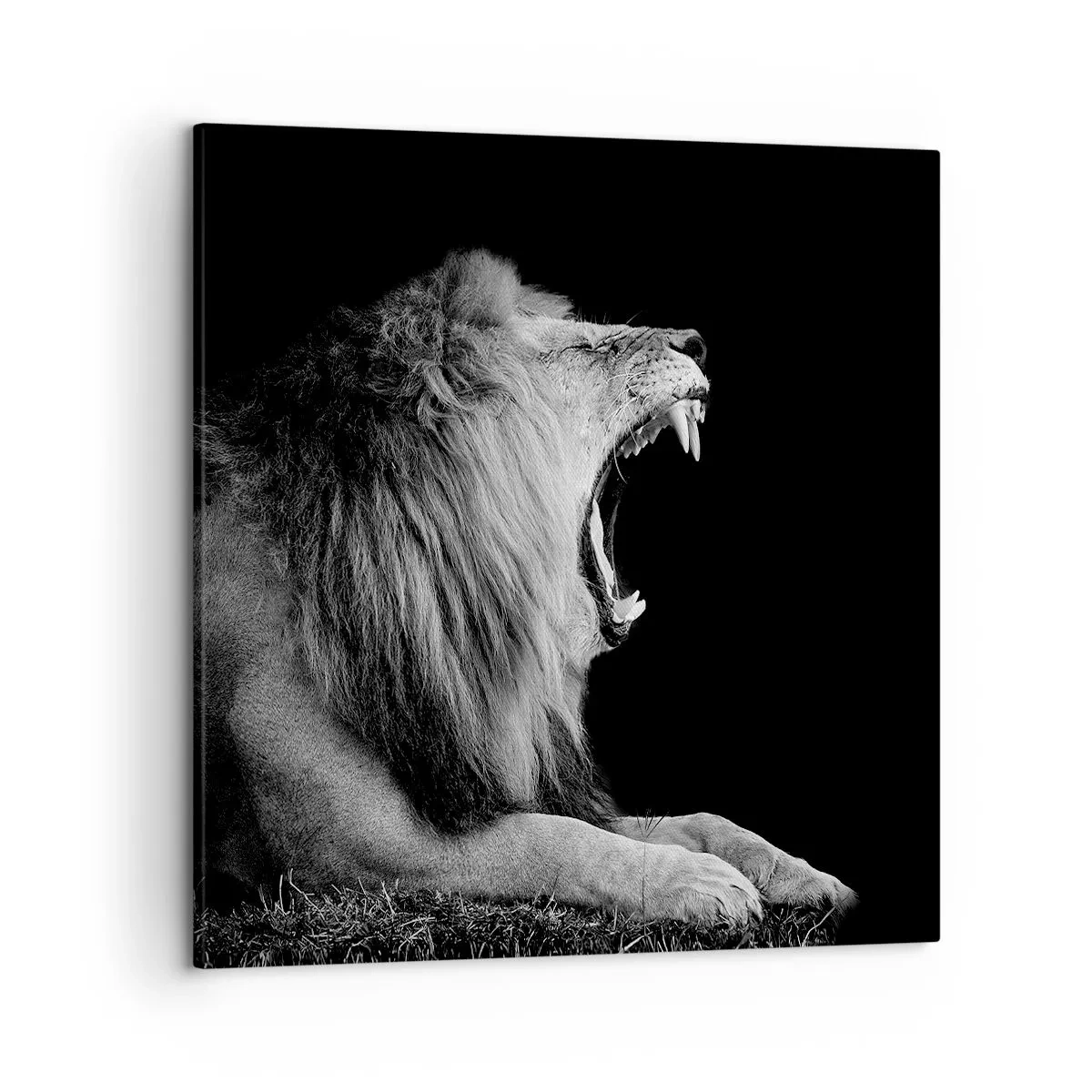 Obraz na płótnie - Bez żadnych wątpliwości - 50x50 cm