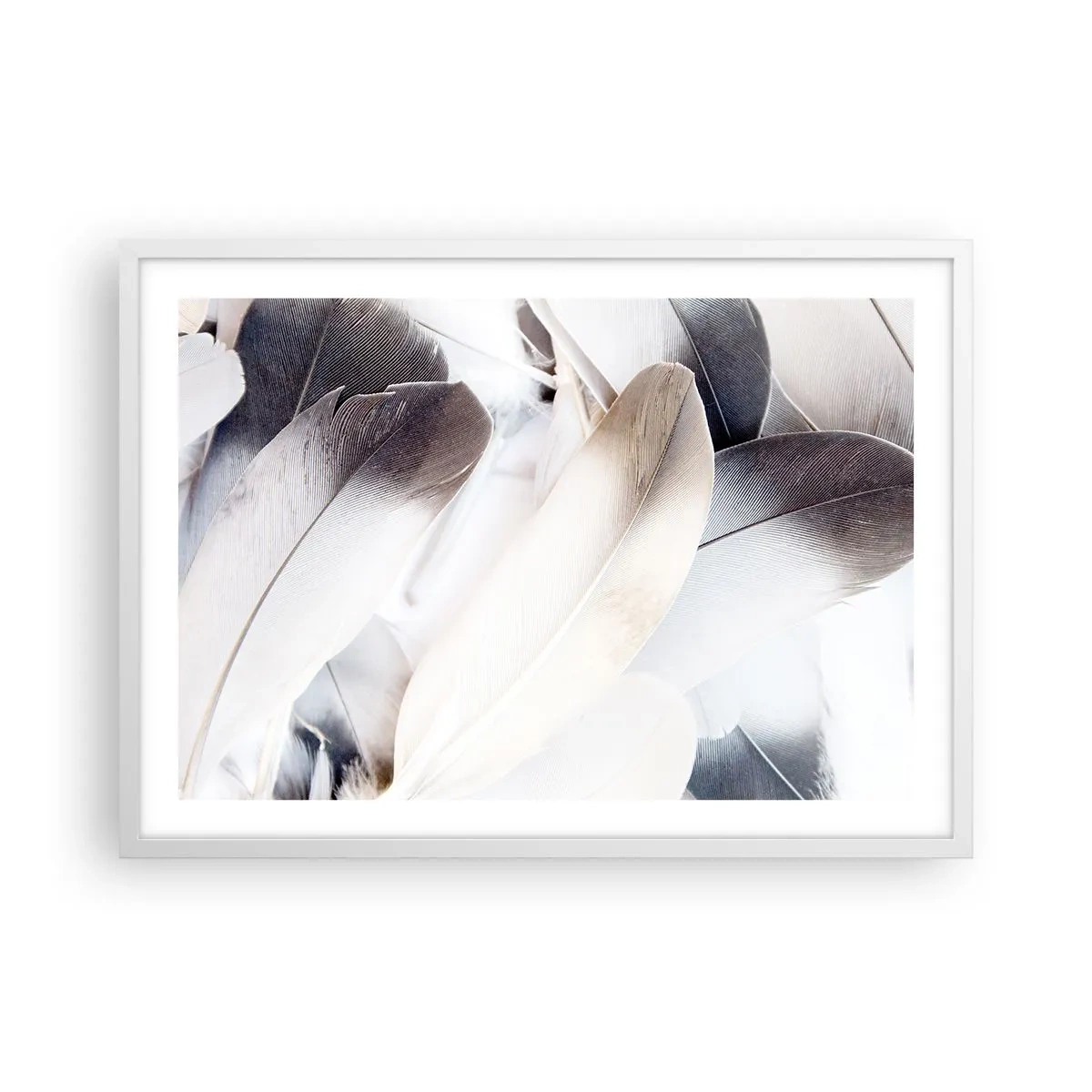 Plakat w białej ramie - Niemal anielskie - 70x50 cm