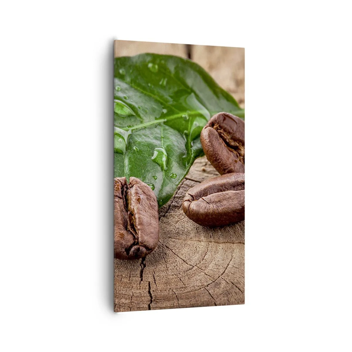 Obraz na płótnie - Najprawdziwsza i czarna - 65x120 cm