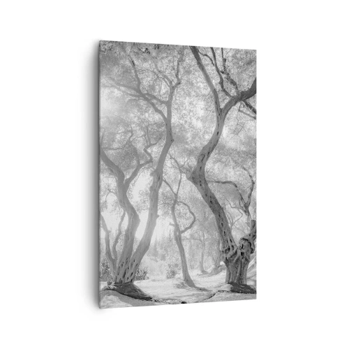 Obraz na płótnie - Czarno-biały widok na drzewa w oliwnym gaju z promieniami słońca - 80x120cm - W oliwnym gaju - Nowoczesna dekoracja ścienna do salonu i sypialni ARTTOR
