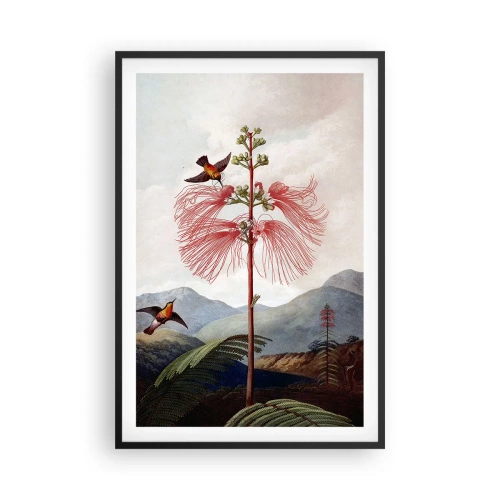 Plakat w czarnej ramie - W tropikalnym raju - 61x91 cm
