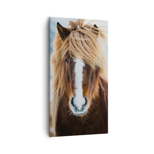 Obraz na płótnie - Czujesz wolność? - 55x100 cm