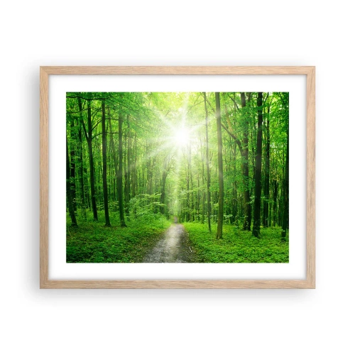 Plakat w ramie jasny dąb - Zielona katedra - 50x40 cm