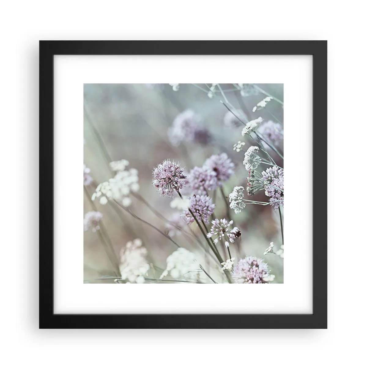 Plakat w czarnej ramie - Słodkie filigrany ziół - 30x30 cm