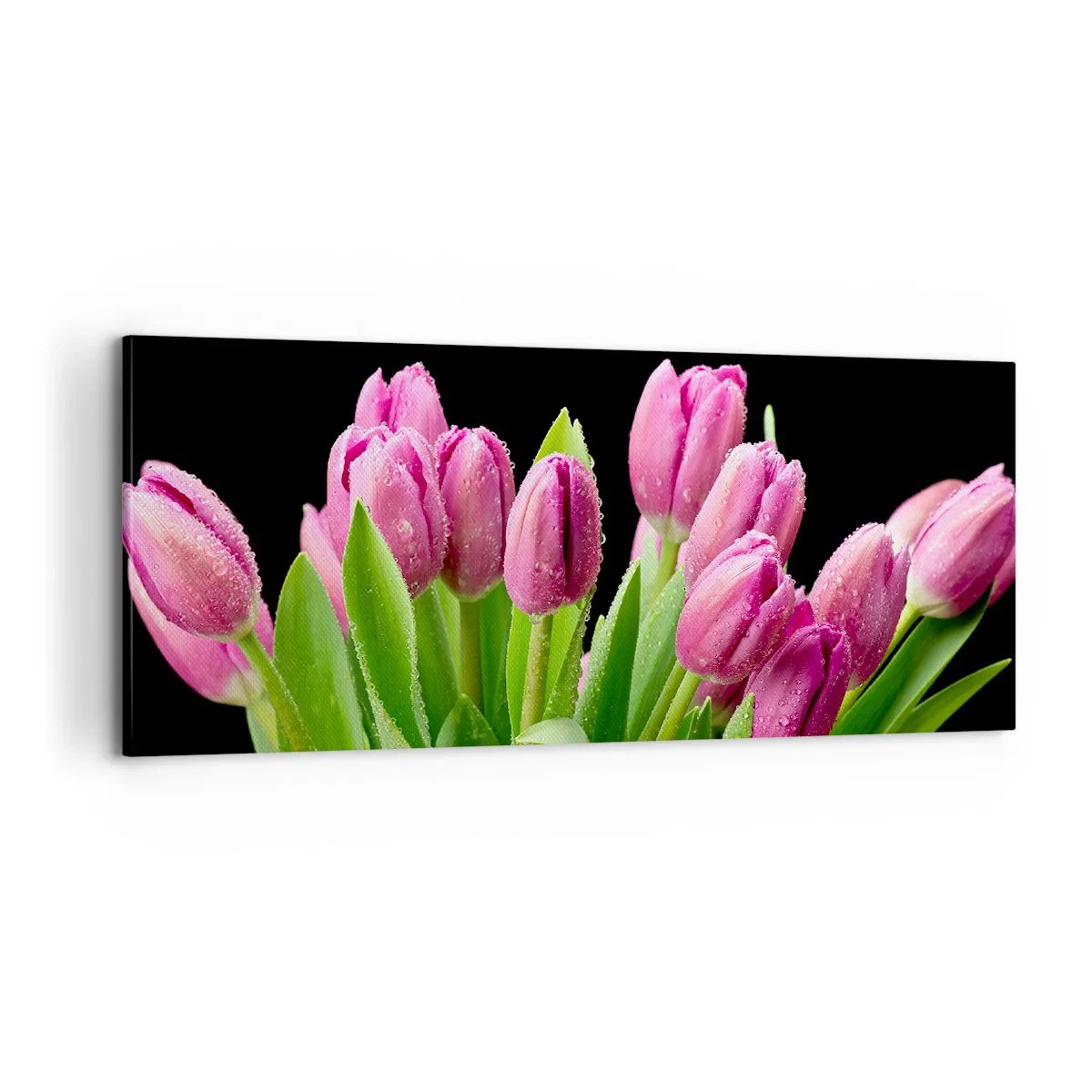 Obraz na płótnie - Liliowa radość wiosny - 100x40 cm