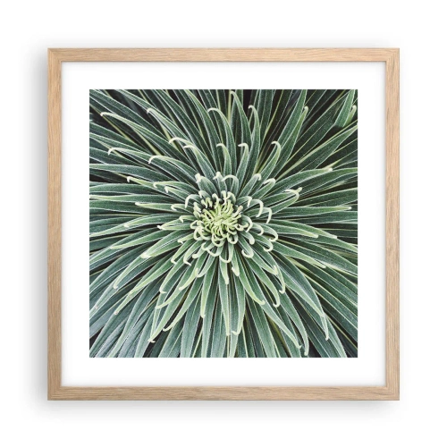 Plakat w ramie jasny dąb - Narodziny gwiazdy - 40x40 cm