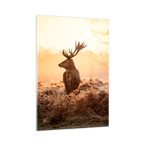 Obraz na szkle - Jeleń na tle wschodu słońca w naturalnym krajobrazie - 50x70cm - Pan na włościach - Nowoczesna dekoracja ścienna do salonu, kuchni i sypialni ARTTOR
