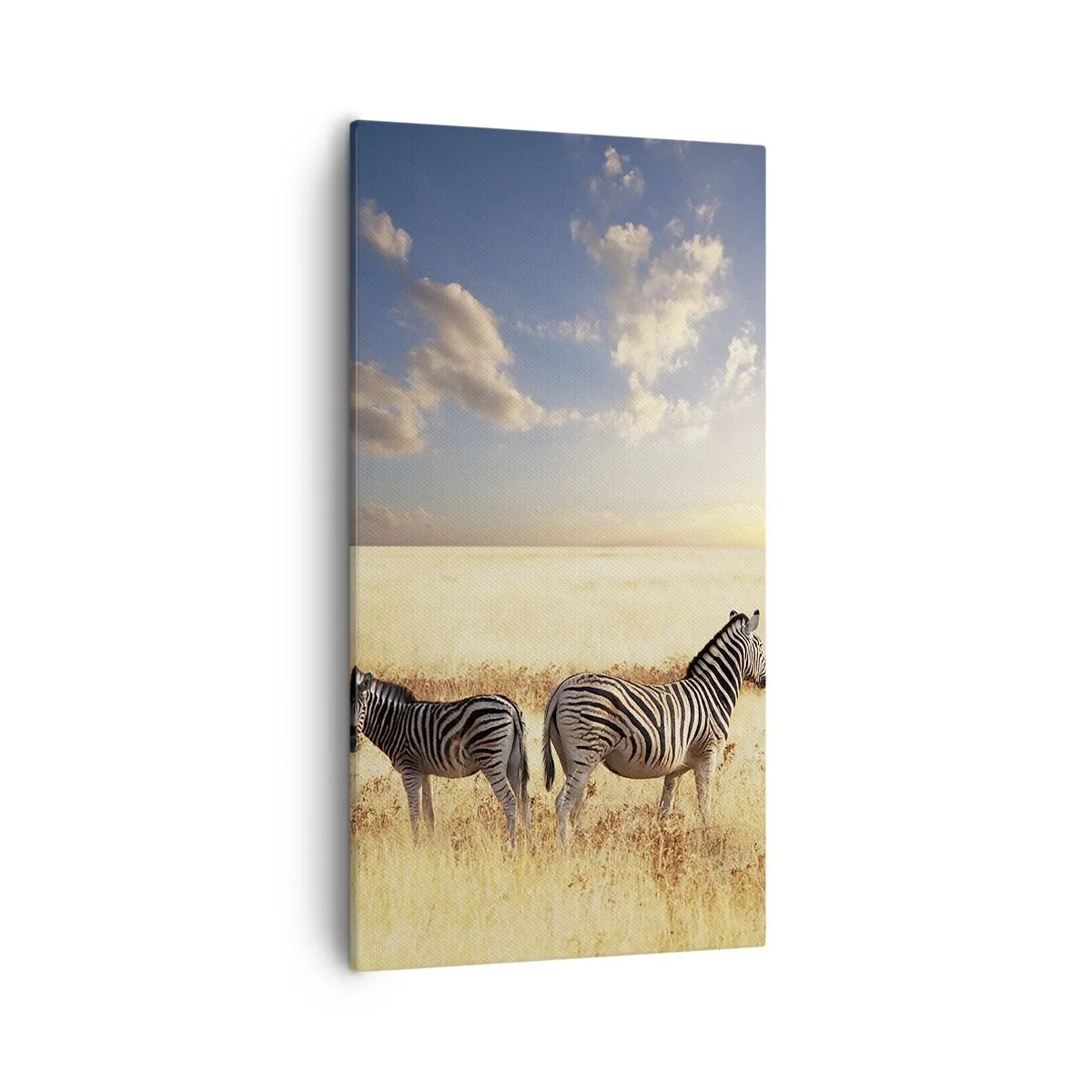 Obraz na płótnie - Idź stąd, nie mąć spokoju - 55x100 cm