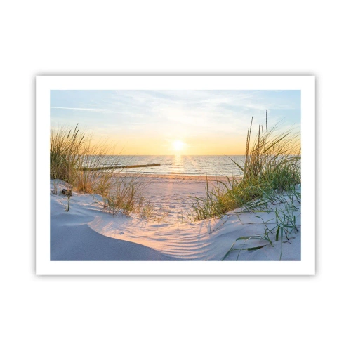 Plakat - Morza szum, ptaków śpiew, dzika plaża pośród traw… - 70x50 cm