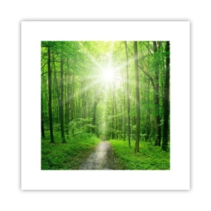 Plakat - Zielona katedra - 30x30 cm