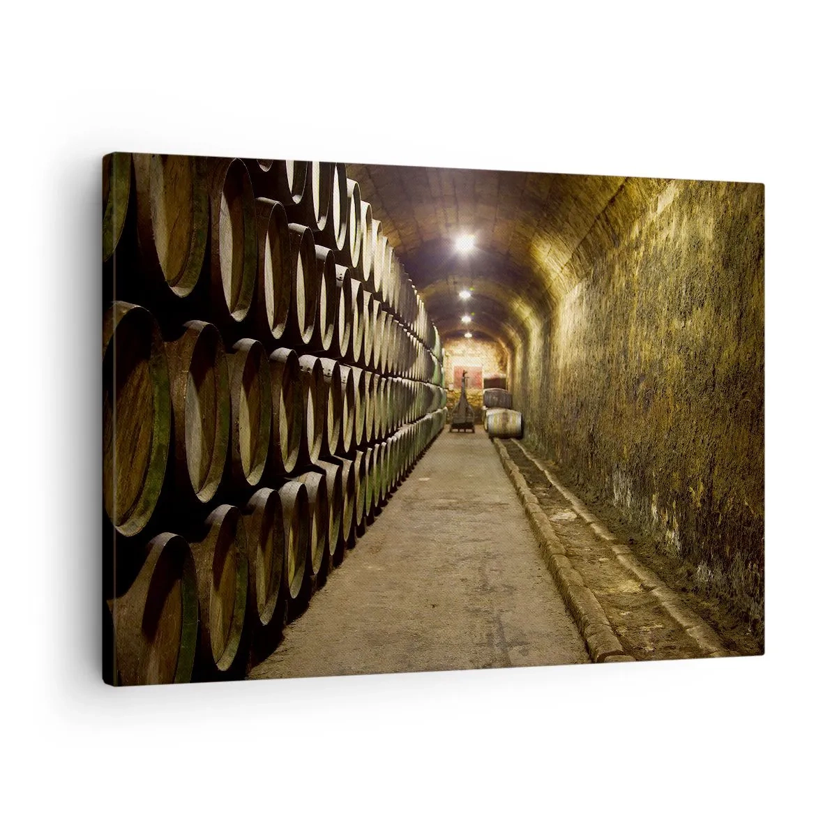 Obraz na płótnie - Dobrze jest poleżeć sobie - Piwnica z drewnianymi beczkami na wino ułożonymi w rzędach - 70x50cm