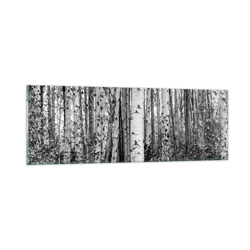 Obraz na szkle - Brzozowa kolumnada - 90x30 cm