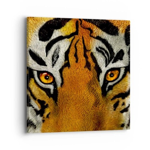 Obraz na płótnie - Groźny i piękny - 40x40 cm