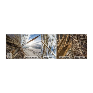 Fototapeta Próbka Samoprzylepna Deluxe Sticker - Spotkanie żywiołów - Krajobraz, Morze, Wydmy - 100x30 cm