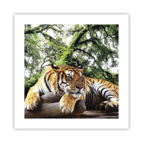 Plakat - Z wyrazami szacunku - 40x40 cm