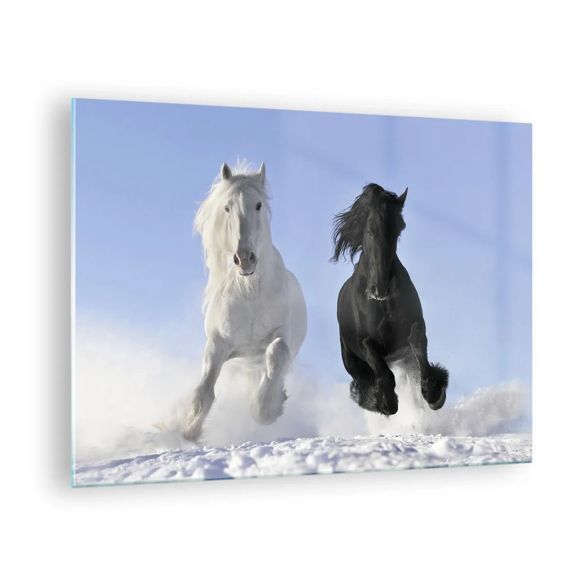 Obraz na szkle - Czarno-biały koń biegnące po śniegu w zimowym krajobrazie - 70x50cm - Czarno-biały galop - Nowoczesna dekoracja ścienna do salonu i sypialni ARTTOR