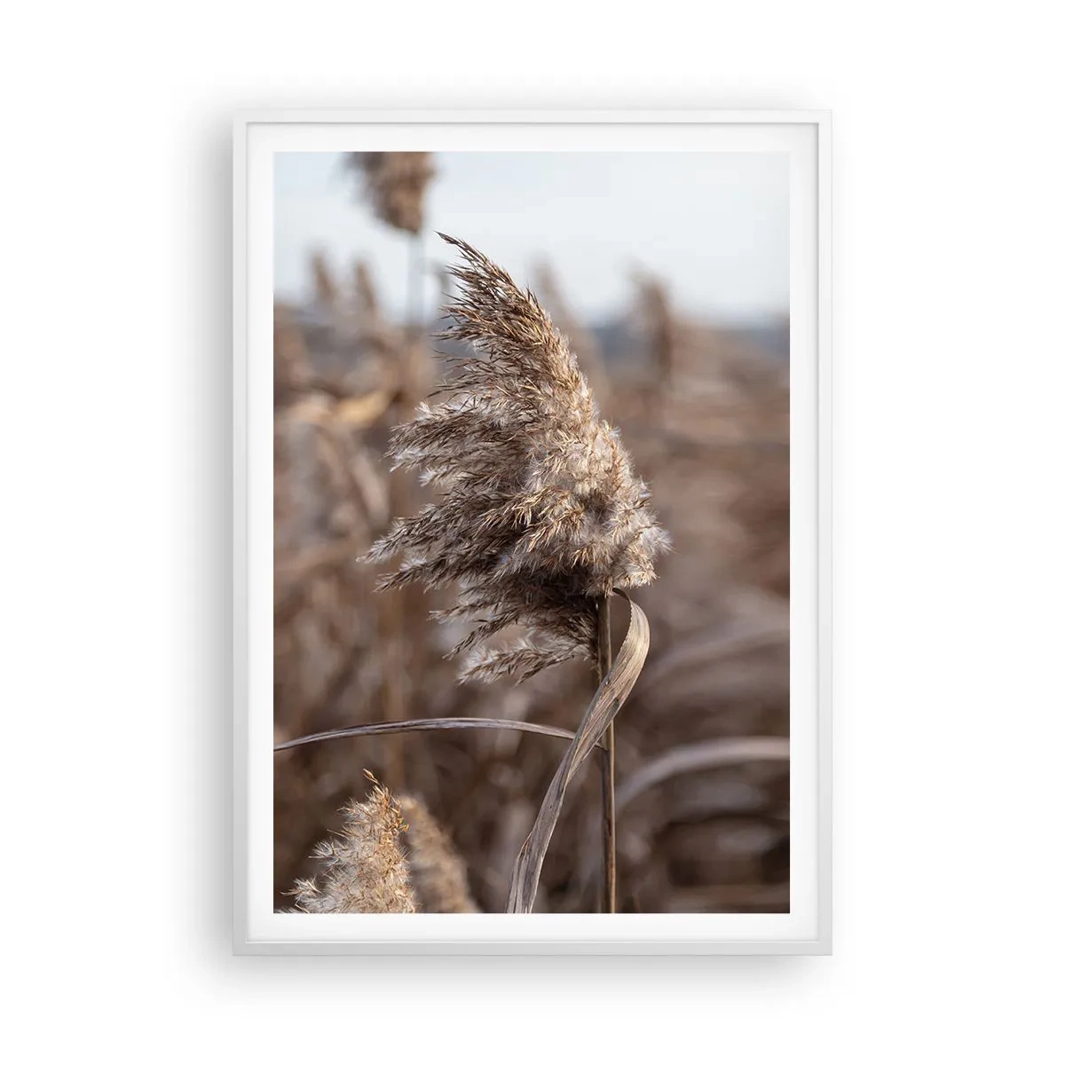 Plakat w białej ramie - Czas odlecieć z wiatrem - 70x100 cm