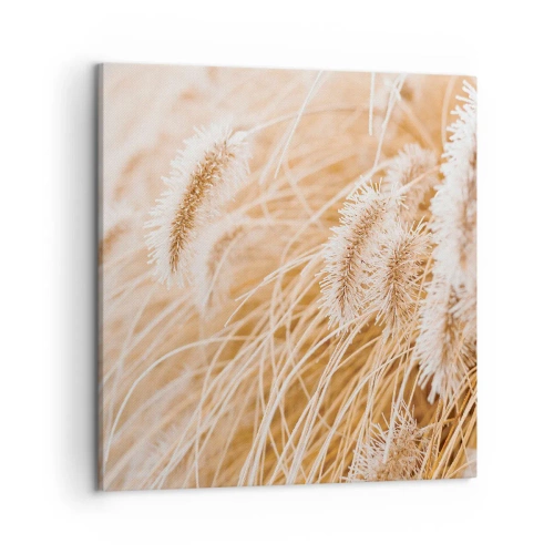 Obraz na płótnie - Złoty szelest traw - 50x50 cm