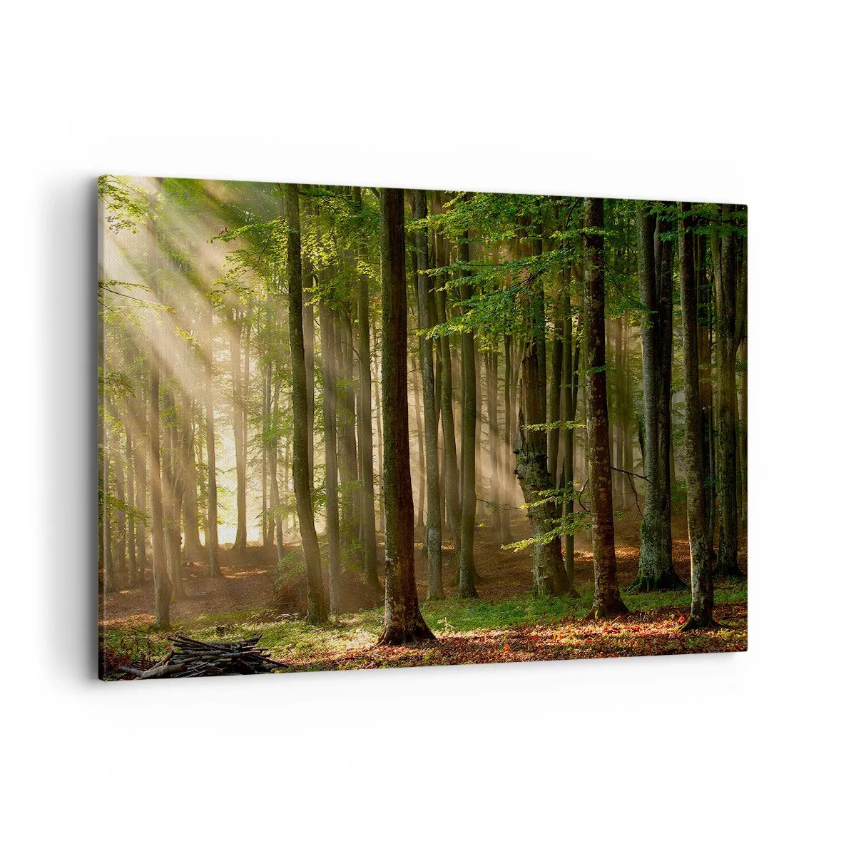 Obraz na płótnie - Promienie słońca przenikające przez drzewa w lesie - 120x80cm - Rozpromieniony w wiosenny poranek - Nowoczesna dekoracja ścienna do salonu, kuchni i sypialni ARTTOR