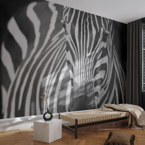 Fototapeta na wymiar Samoprzylepna Deluxe Sticker - Świat jest czarno-biały - Zwierzęta, Zebra, Czarno-Biały