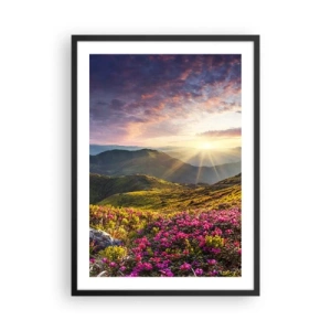 Plakat w czarnej ramie - Kwiaty w górach oświetlone promieniami zachodzącego słońca - 50x70cm - Świeżość górskiego poranka - Nowoczesna dekoracja ścienna do salonu i sypialni ARTTOR
