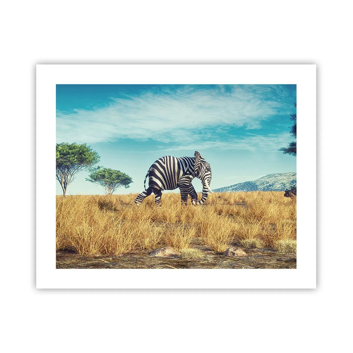 Plakat - Szarość już niemodna - 50x40 cm